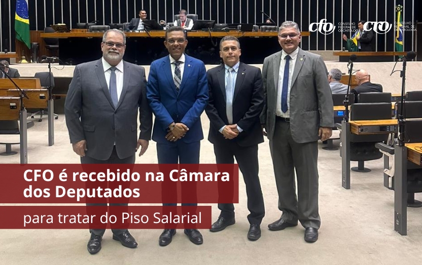 Read more about the article CFO é recebido na Câmara dos Deputados para tratar do Piso Salarial